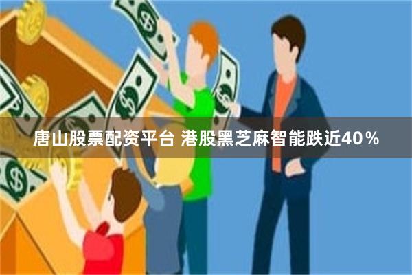 唐山股票配资平台 港股黑芝麻智能跌近40％
