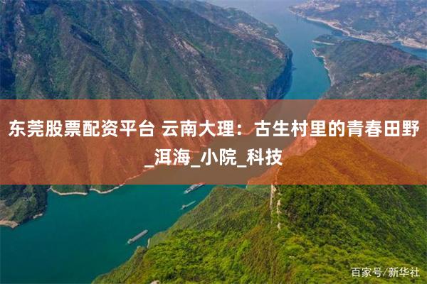 东莞股票配资平台 云南大理：古生村里的青春田野_洱海_小院_科技