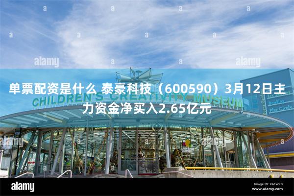 单票配资是什么 泰豪科技（600590）3月12日主力资金净买入2.65亿元