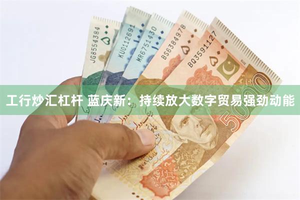 工行炒汇杠杆 蓝庆新：持续放大数字贸易强劲动能