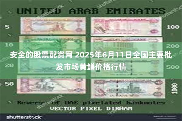安全的股票配资网 2025年6月11日全国主要批发市场黄鳝价格行情