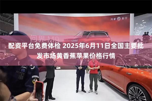 配资平台免费体检 2025年6月11日全国主要批发市场黄香蕉苹果价格行情