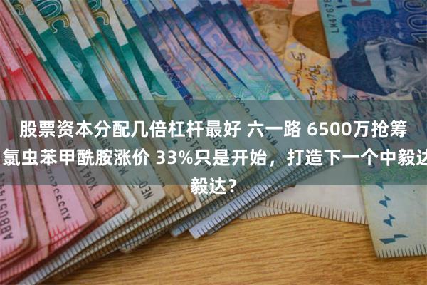 股票资本分配几倍杠杆最好 六一路 6500万抢筹！氯虫苯甲酰胺涨价 33%只是开始，打造下一个中毅达？