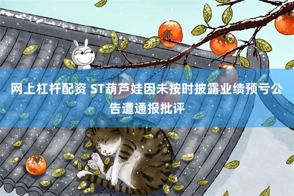 网上杠杆配资 ST葫芦娃因未按时披露业绩预亏公告遭通报批评