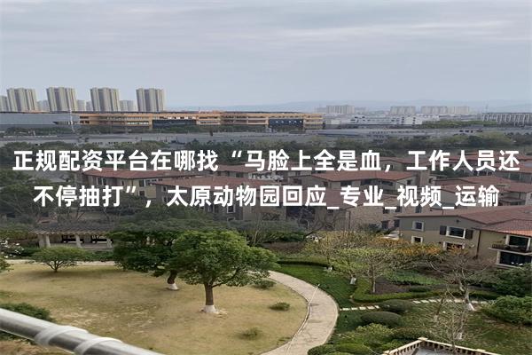 正规配资平台在哪找 “马脸上全是血，工作人员还不停抽打”，太原动物园回应_专业_视频_运输