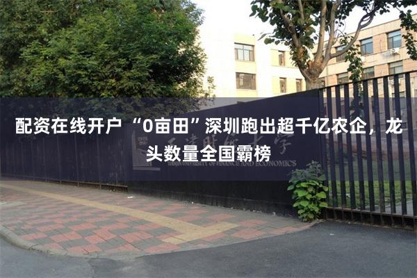 配资在线开户 “0亩田”深圳跑出超千亿农企，龙头数量全国霸榜