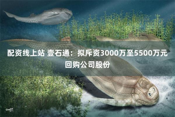 配资线上站 壹石通：拟斥资3000万至5500万元回购公司股份