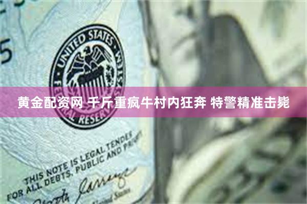 黄金配资网 千斤重疯牛村内狂奔 特警精准击毙