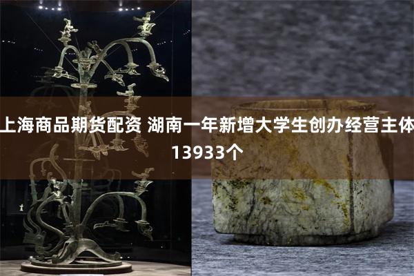 上海商品期货配资 湖南一年新增大学生创办经营主体13933个